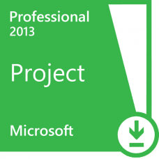 Microsoft Project Professional 2013　日本語版